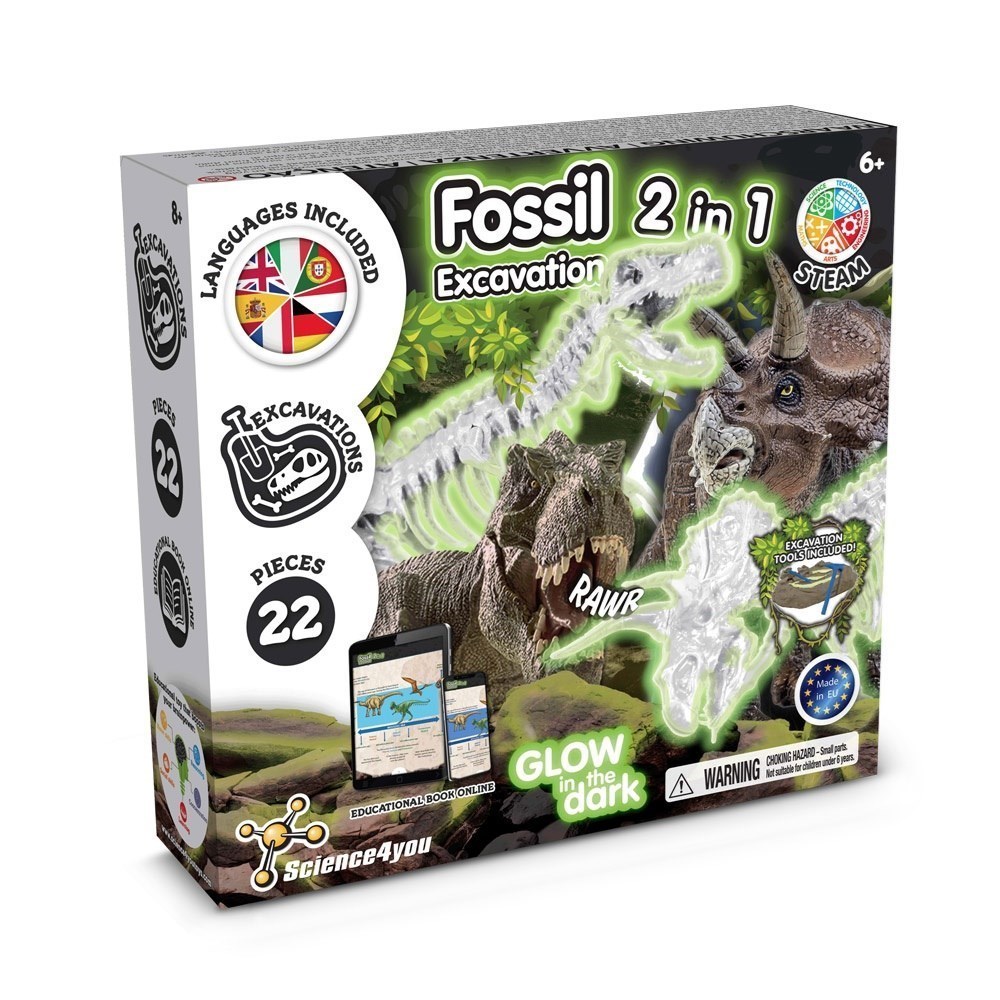 2 in 1 Fossil Excavation Kit I. Lernspiel für Kinder